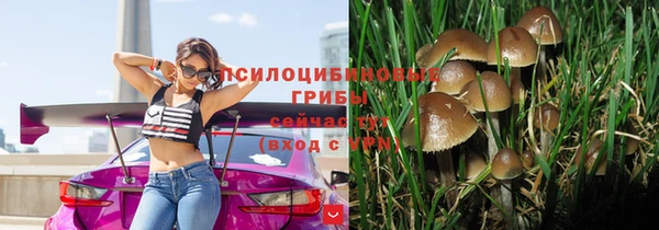 твердый Новокубанск