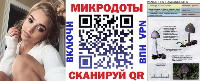 Псилоцибиновые грибы Cubensis  kraken как зайти  Анапа 